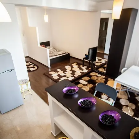 Baneasa Pipera Studio Apartament Bukareszt
